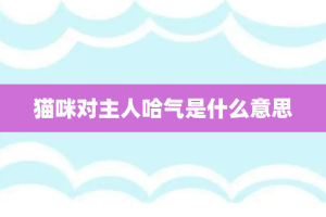 猫咪对主人哈气是什么意思
