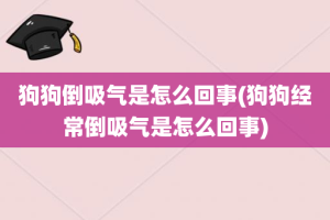 狗狗倒吸气是怎么回事(狗狗经常倒吸气是怎么回事)