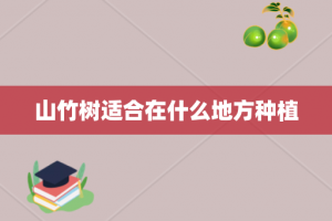 山竹树适合在什么地方种植