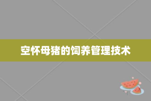 空怀母猪的饲养管理技术