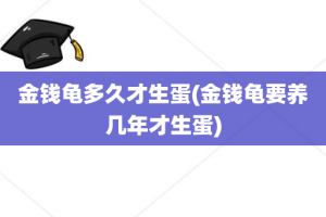 金钱龟多久才生蛋(金钱龟要养几年才生蛋)