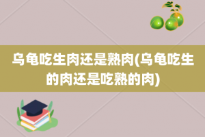 乌龟吃生肉还是熟肉(乌龟吃生的肉还是吃熟的肉)