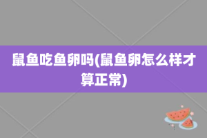 鼠鱼吃鱼卵吗(鼠鱼卵怎么样才算正常)