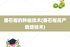 番石榴的种植技术(番石榴高产栽培技术)