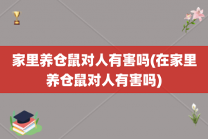 家里养仓鼠对人有害吗(在家里养仓鼠对人有害吗)
