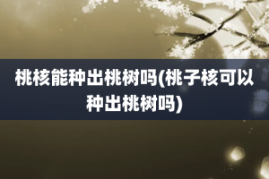 桃核能种出桃树吗(桃子核可以种出桃树吗)