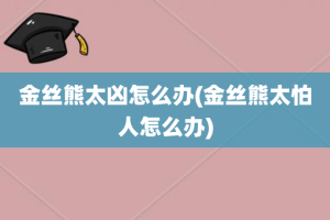金丝熊太凶怎么办(金丝熊太怕人怎么办)