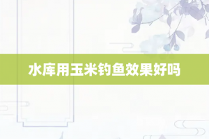 水库用玉米钓鱼效果好吗