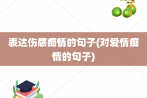 表达伤感痴情的句子(对爱情痴情的句子)