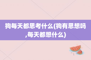 狗每天都思考什么(狗有思想吗,每天都想什么)
