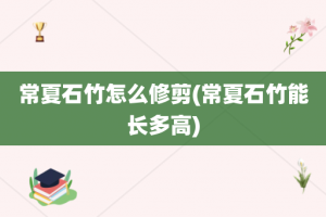 常夏石竹怎么修剪(常夏石竹能长多高)