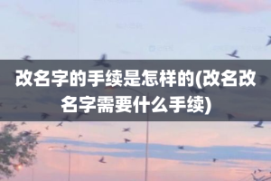 改名字的手续是怎样的(改名改名字需要什么手续)