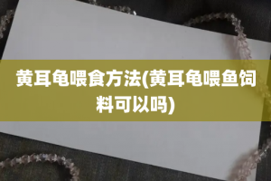 黄耳龟喂食方法(黄耳龟喂鱼饲料可以吗)