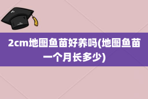 2cm地图鱼苗好养吗(地图鱼苗一个月长多少)