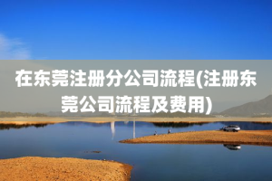 在东莞注册分公司流程(注册东莞公司流程及费用)