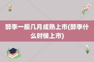 醉李一般几月成熟上市(醉李什么时候上市)
