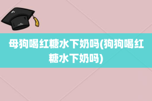 母狗喝红糖水下奶吗(狗狗喝红糖水下奶吗)