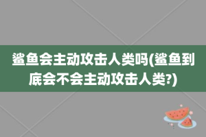 鲨鱼会主动攻击人类吗(鲨鱼到底会不会主动攻击人类?)
