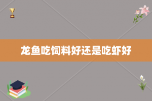 龙鱼吃饲料好还是吃虾好