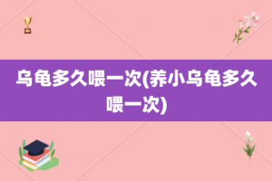 乌龟多久喂一次(养小乌龟多久喂一次)