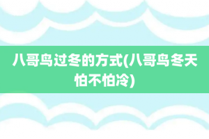 八哥鸟过冬的方式(八哥鸟冬天怕不怕冷)