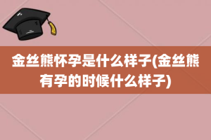 金丝熊怀孕是什么样子(金丝熊有孕的时候什么样子)