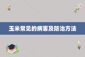 玉米常见的病害及防治方法