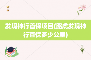 发现神行首保项目(路虎发现神行首保多少公里)