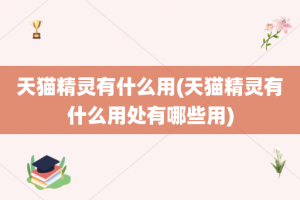 天猫精灵有什么用(天猫精灵有什么用处有哪些用)