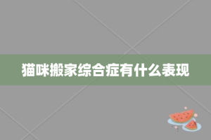 猫咪搬家综合症有什么表现