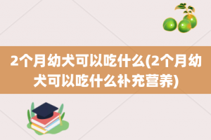 2个月幼犬可以吃什么(2个月幼犬可以吃什么补充营养)