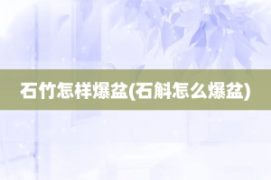 石竹怎样爆盆(石斛怎么爆盆)