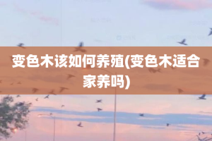 变色木该如何养殖(变色木适合家养吗)