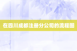 在四川成都注册分公司的流程图