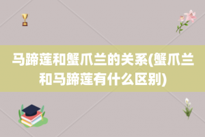 马蹄莲和蟹爪兰的关系(蟹爪兰和马蹄莲有什么区别)