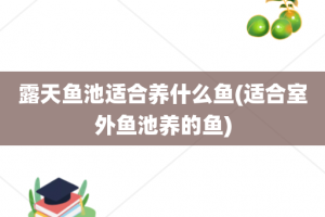 露天鱼池适合养什么鱼(适合室外鱼池养的鱼)