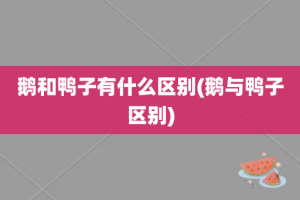 鹅和鸭子有什么区别(鹅与鸭子区别)