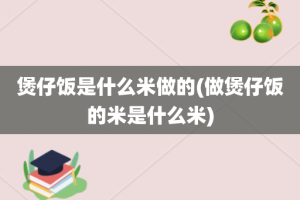 煲仔饭是什么米做的(做煲仔饭的米是什么米)