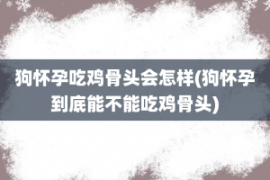 狗怀孕吃鸡骨头会怎样(狗怀孕到底能不能吃鸡骨头)