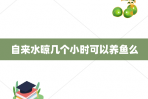 自来水晾几个小时可以养鱼么