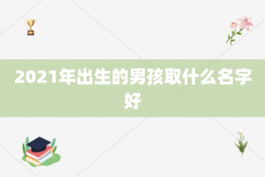 2021年出生的男孩取什么名字好