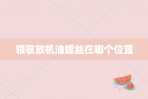 领驭放机油螺丝在哪个位置