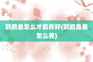 鹦鹉鱼怎么才能养好(鹦鹉鱼要怎么养)