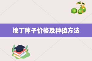 地丁种子价格及种植方法