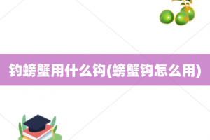 钓螃蟹用什么钩(螃蟹钩怎么用)