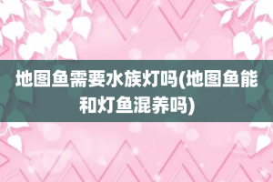 地图鱼需要水族灯吗(地图鱼能和灯鱼混养吗)