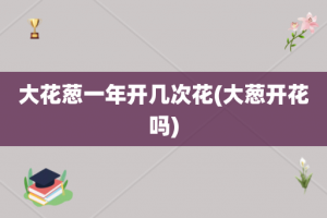 大花葱一年开几次花(大葱开花吗)