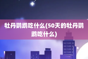 牡丹鹦鹉吃什么(50天的牡丹鹦鹉吃什么)