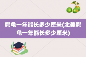 鳄龟一年能长多少厘米(北美鳄龟一年能长多少厘米)