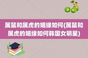 属鼠和属虎的姻缘如何(属鼠和属虎的姻缘如何韩国女明星)